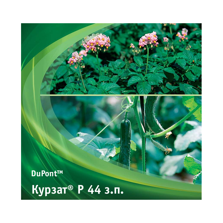 Курзат P 44