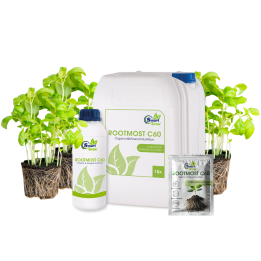 SMARTGROW (СМАРТГРОУ)