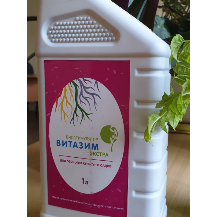Витазим