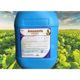 Амколон