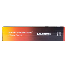 СПЕКТРУМ (SPECTRUM)