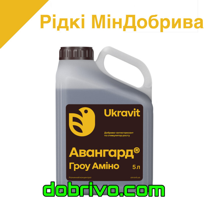 АВАНГАРД