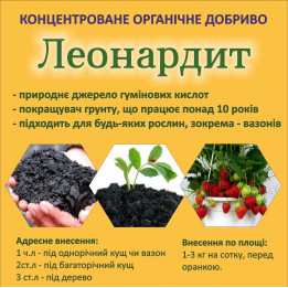 Леонардитне