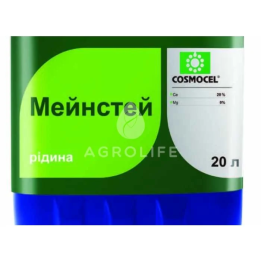 Мейнстей