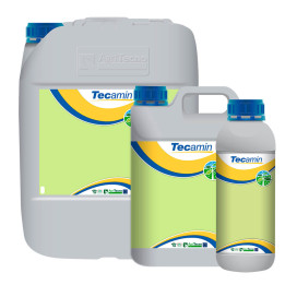 ТЕКАМІН ТЕХ ФРУТ