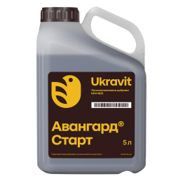 Avangard CrystAVit