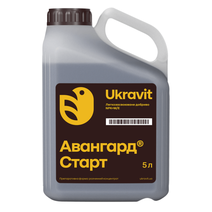 Avangard CrystAVit