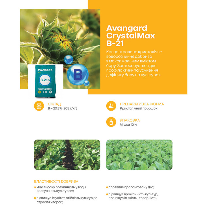Аvangard CrystalMax