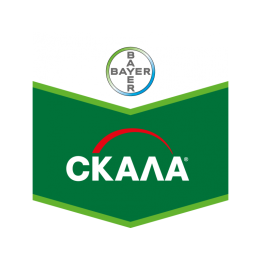 Скала 400 SC