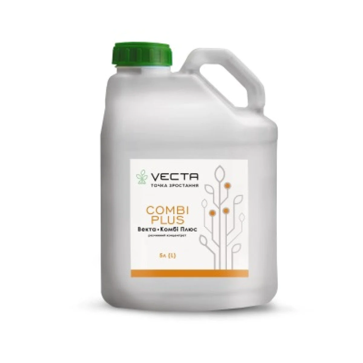 VECTA