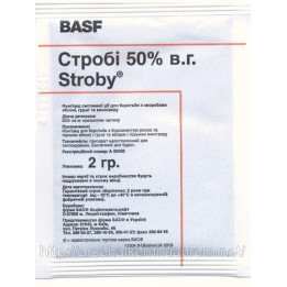 Строби