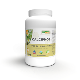 Kalidos LG