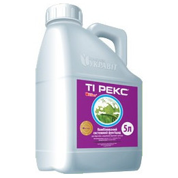 Ти Рекс