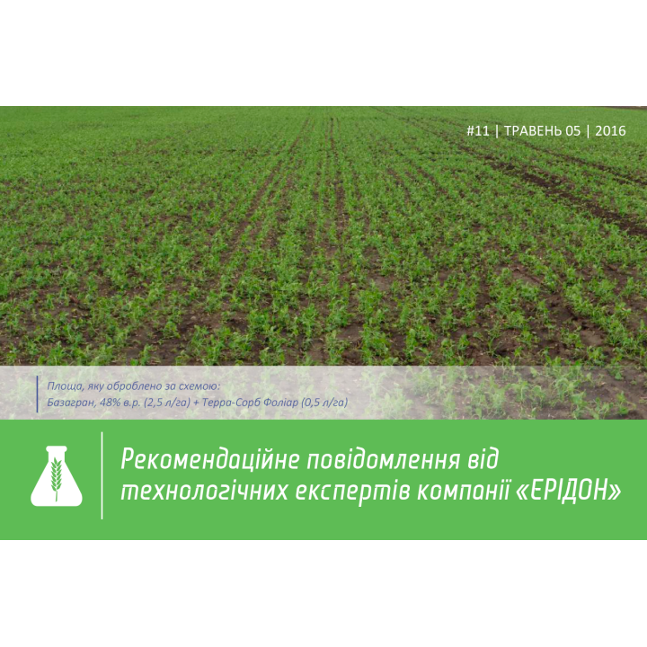 Тарра сорб фолі ар