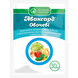 Авангард М