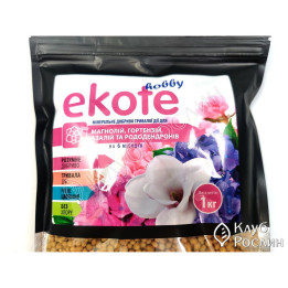 ЕКОРАЙЗ