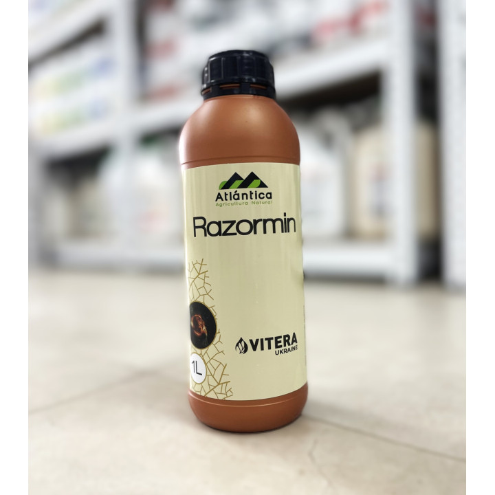 Разормін