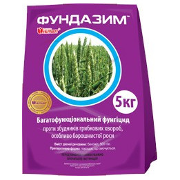 Фундазим