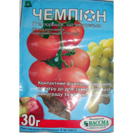Чемпион