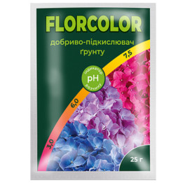 Флюсіг